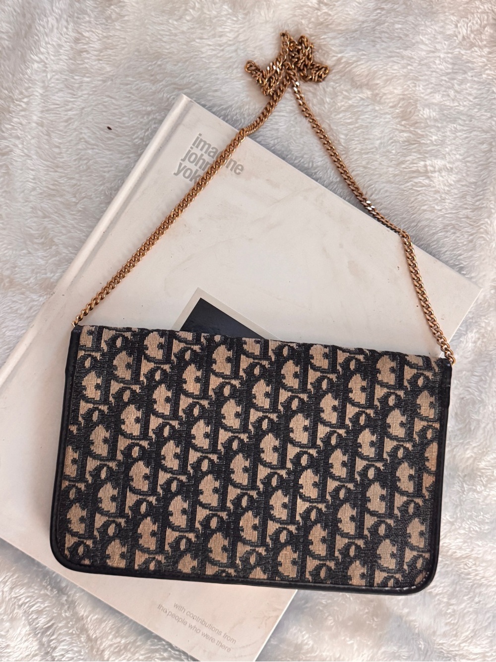 Authentic Christian Dior Trotter Chain Shoulder Bag - Picture 3 of 14